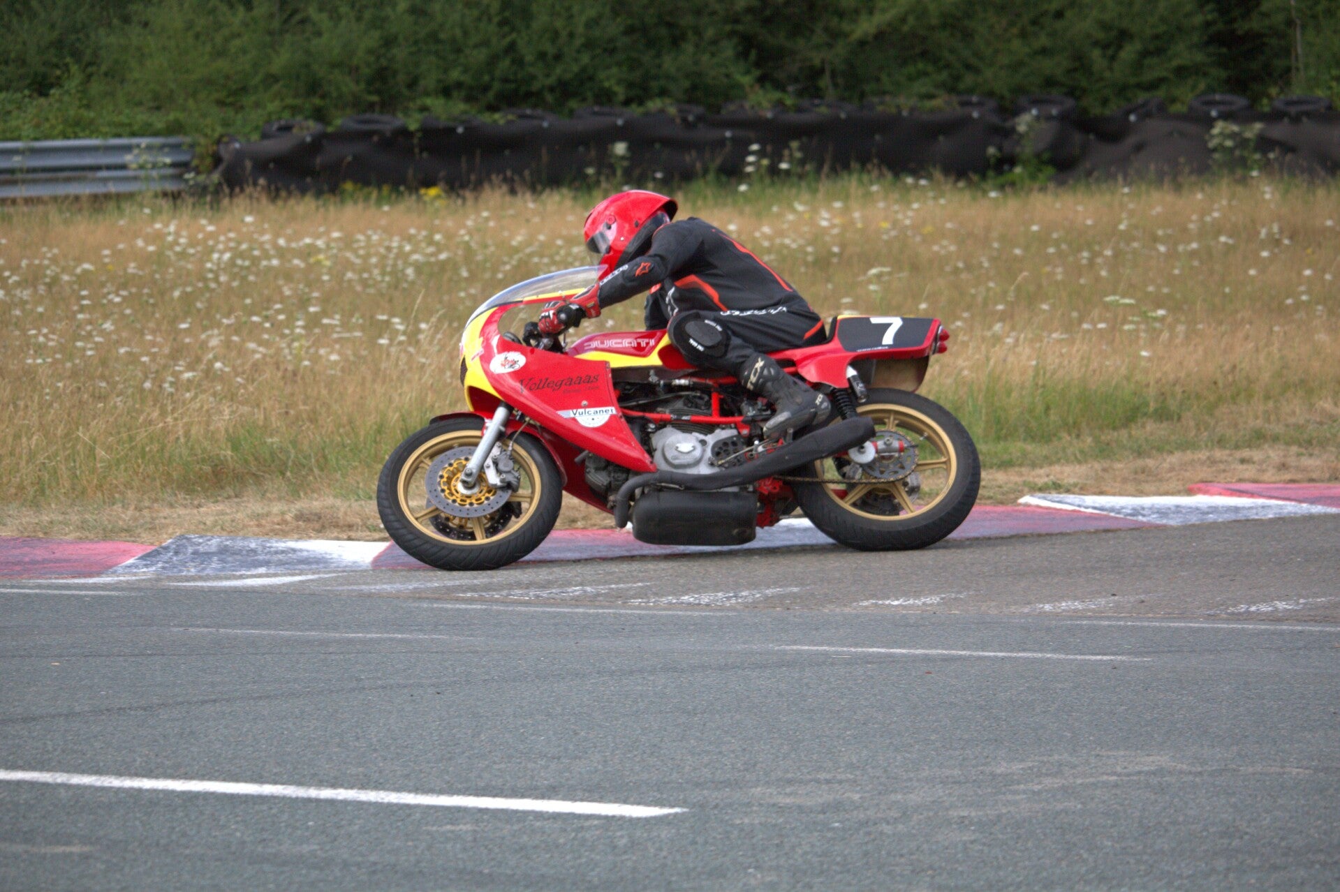 img_1371-standard.jpg