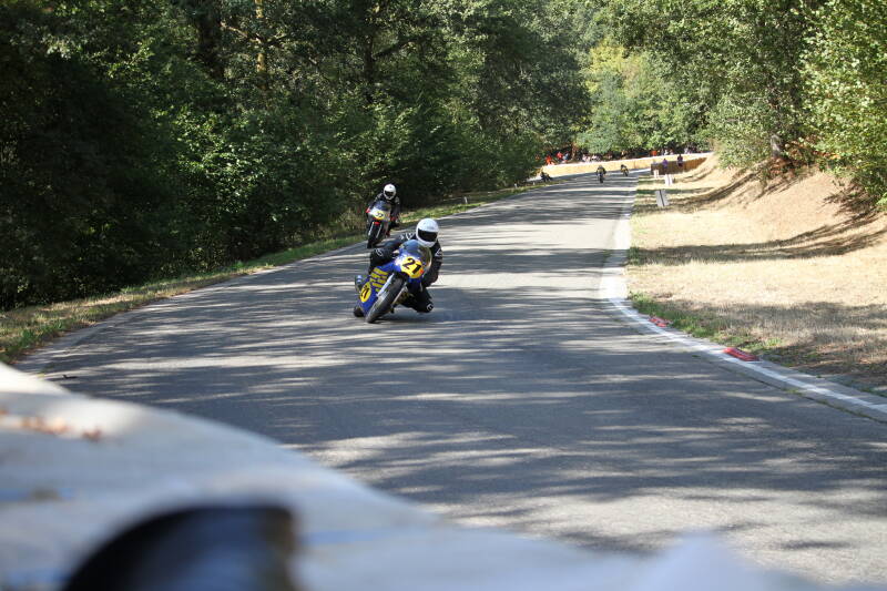 img_1395-standard-nmz1zo.jpg
