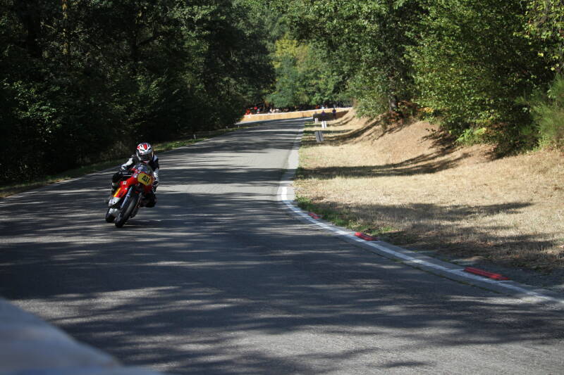 img_1409-standard-9puc8u.jpg