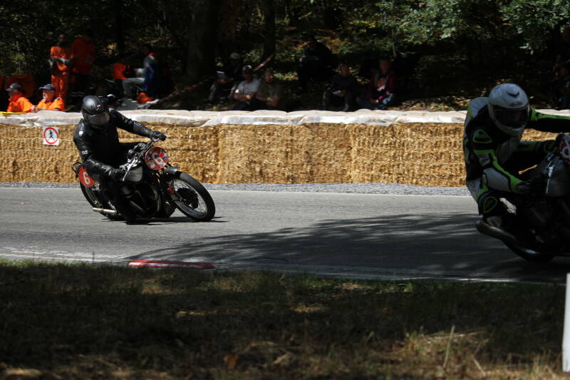 img_1449-standard-yi4jr4.jpg