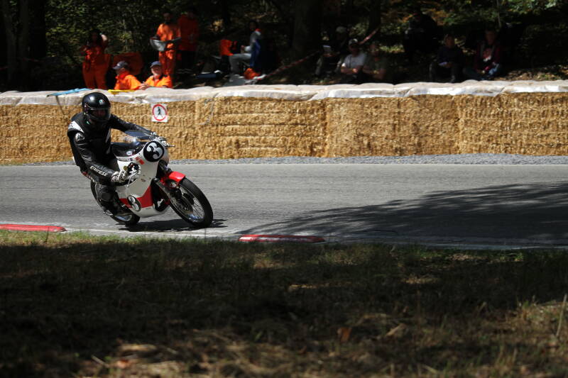 img_1450-standard-4rp1ln.jpg