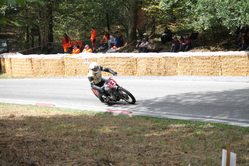 img_1512-standard-y8xz28.jpg