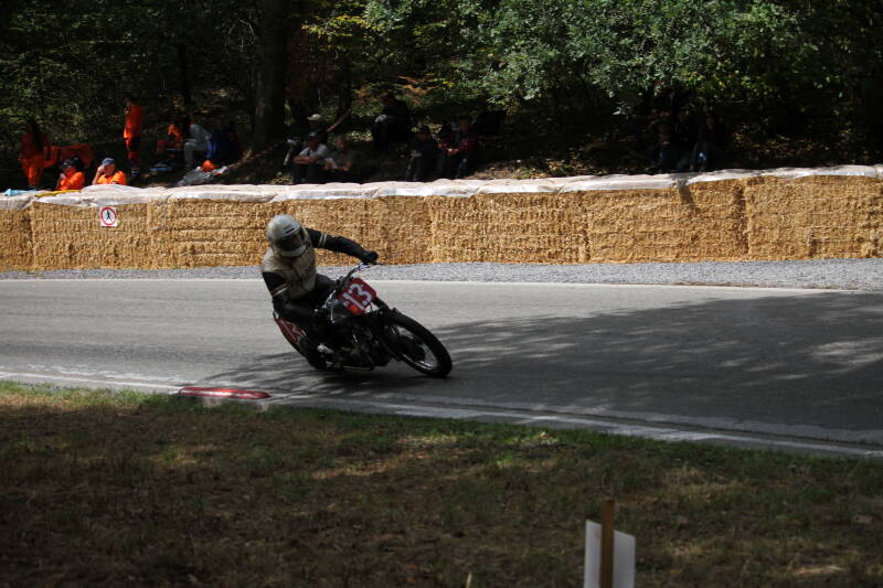 img_1513-standard-dx5yf2.jpg