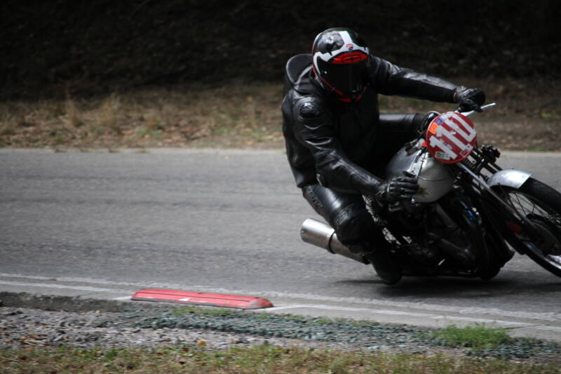 img_1531-standard-c11fxz.jpg