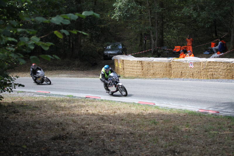img_1536-standard-nvi3ko.jpg