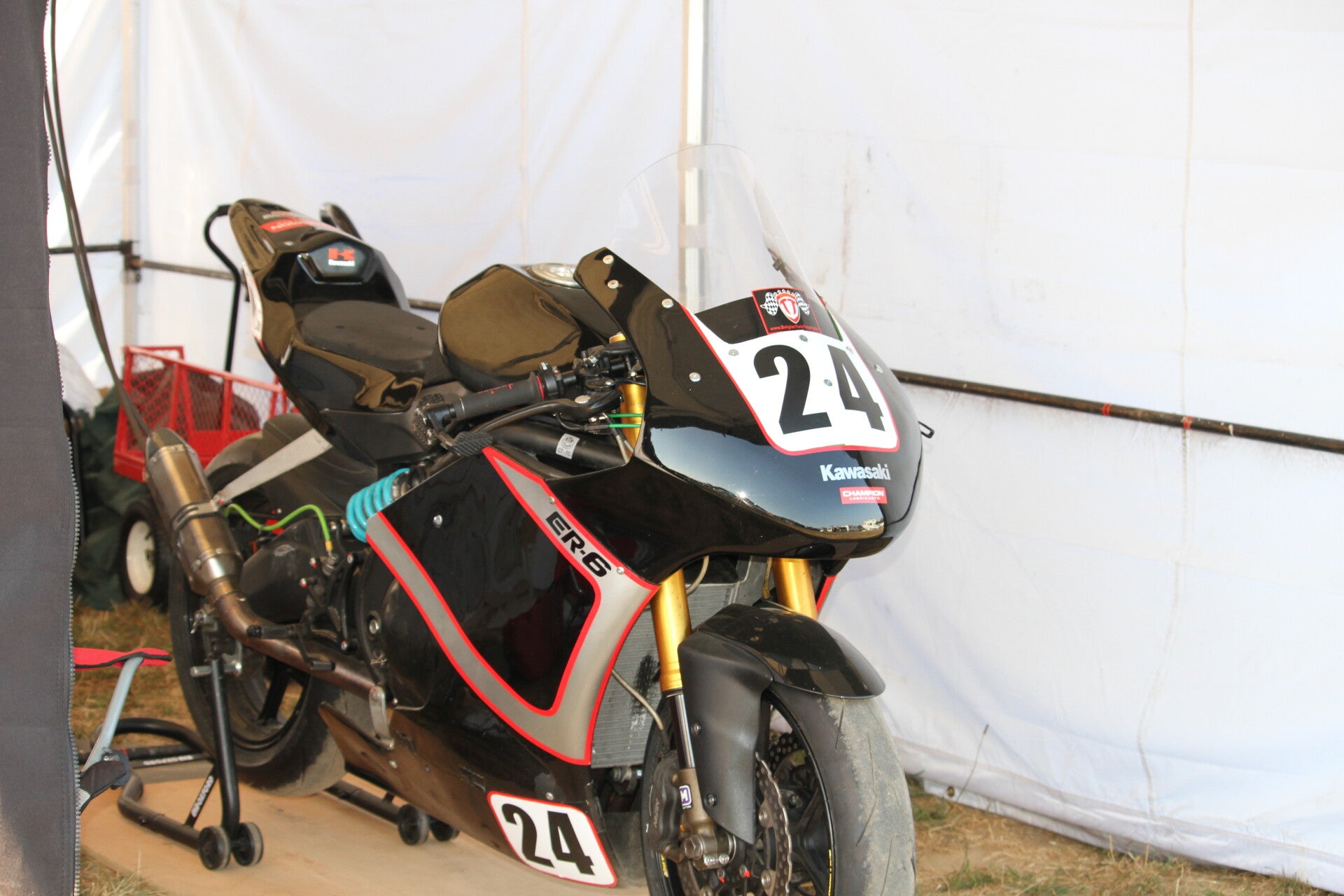 img_1555-standard.jpg