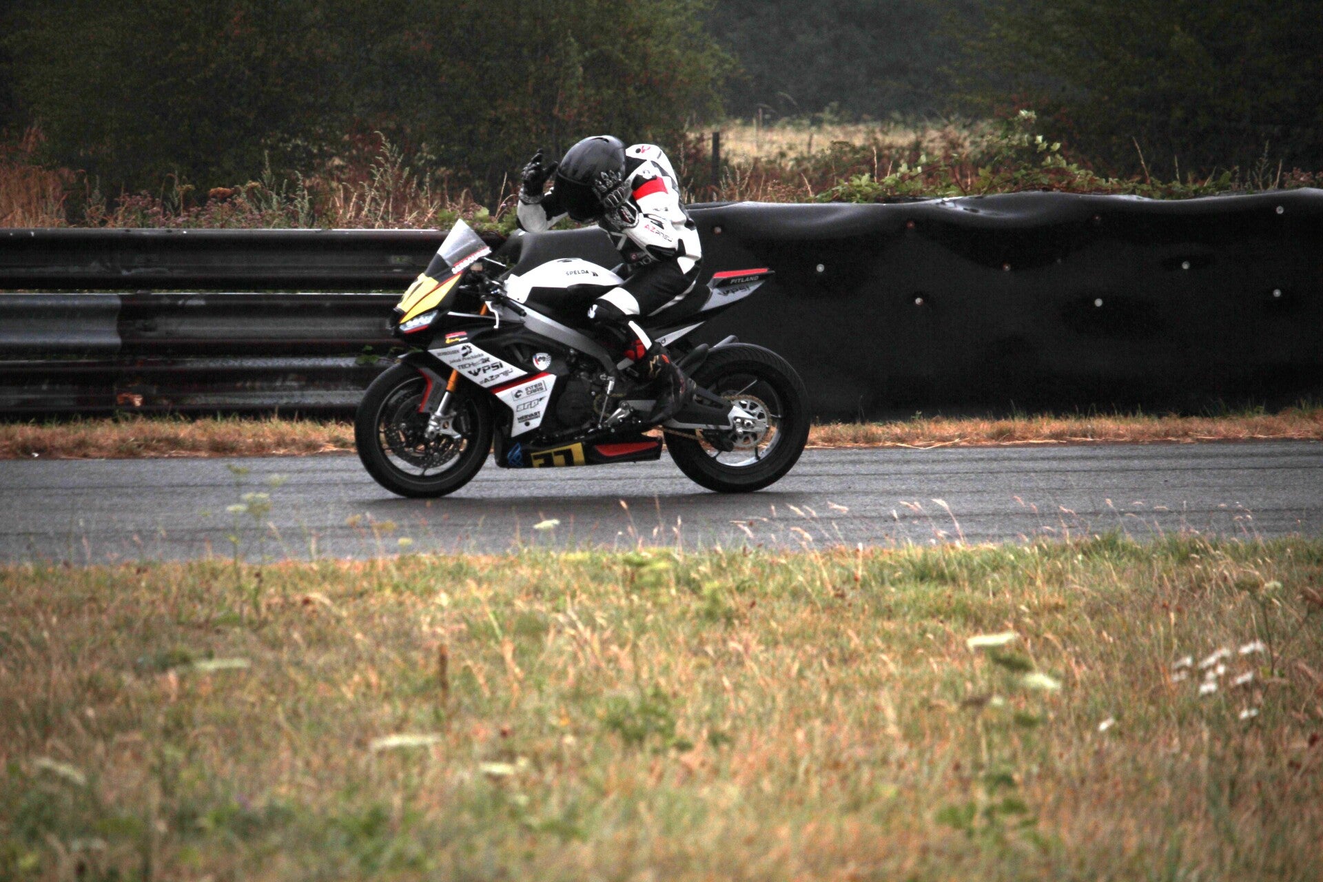 img_2105-standard-drrhd4.jpg