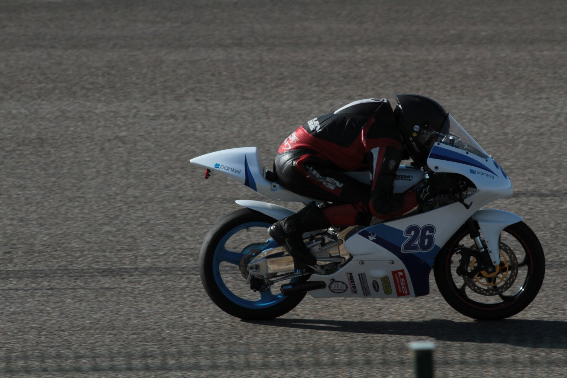 img_2910-standard.jpg