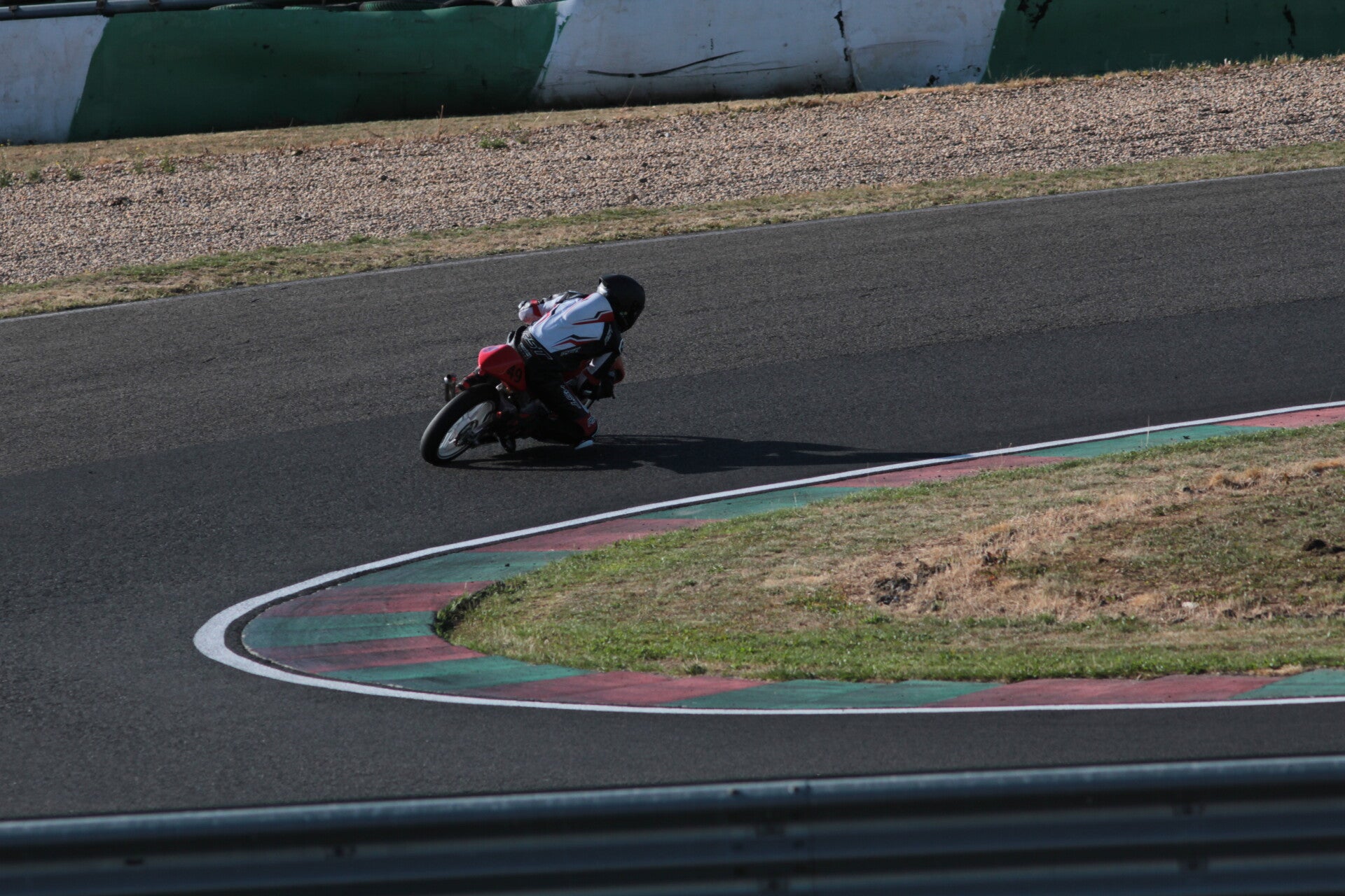 img_2920-standard.jpg