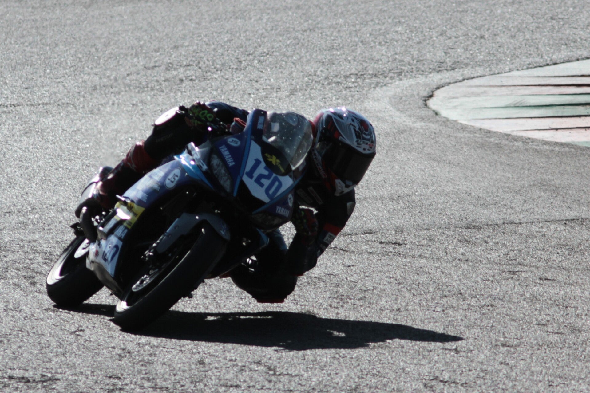 img_2954-standard.jpg