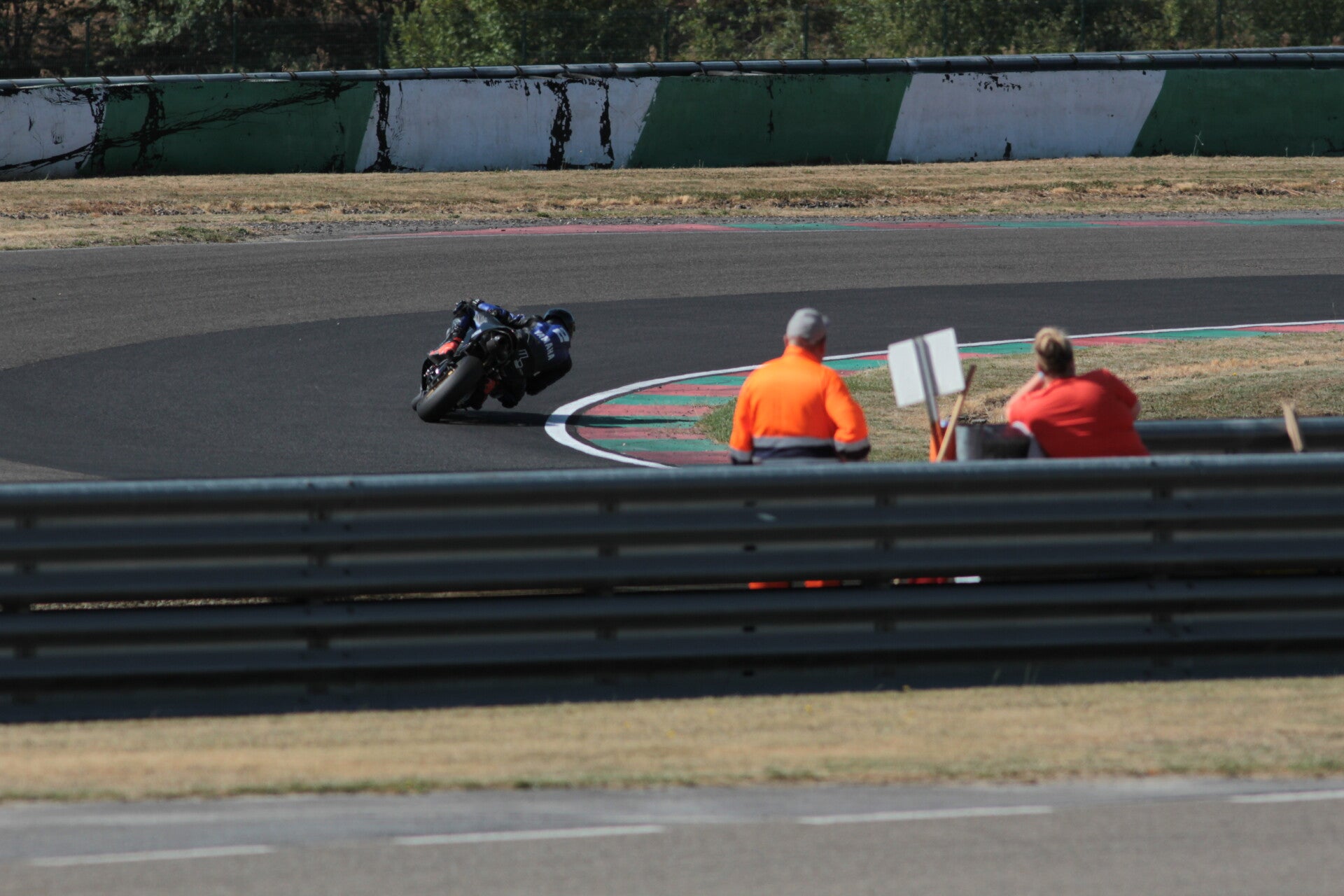 img_3102-standard.jpg