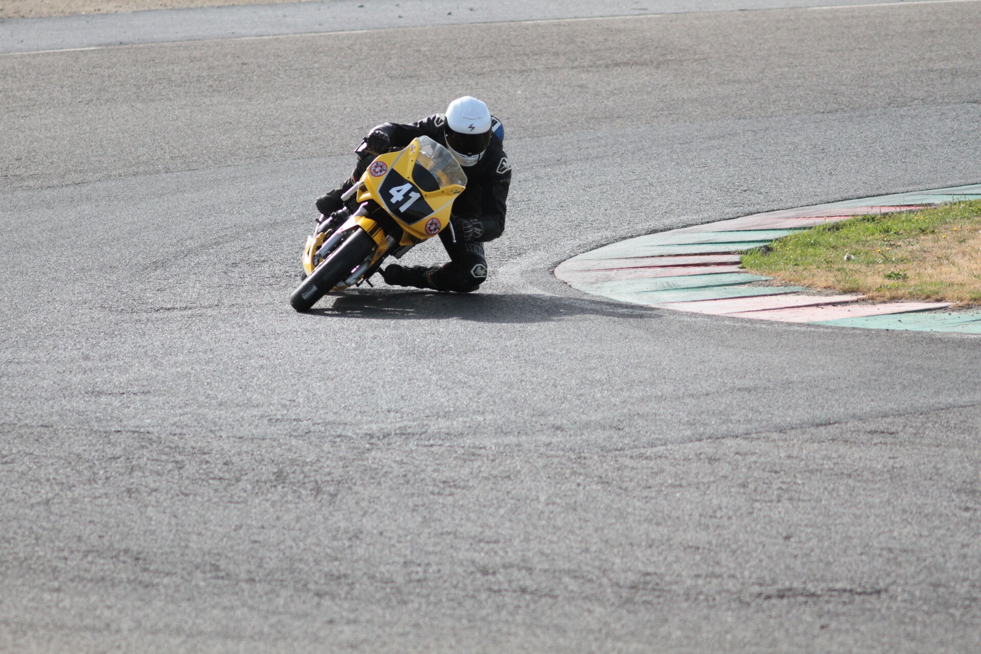 img_3301-standard.jpg