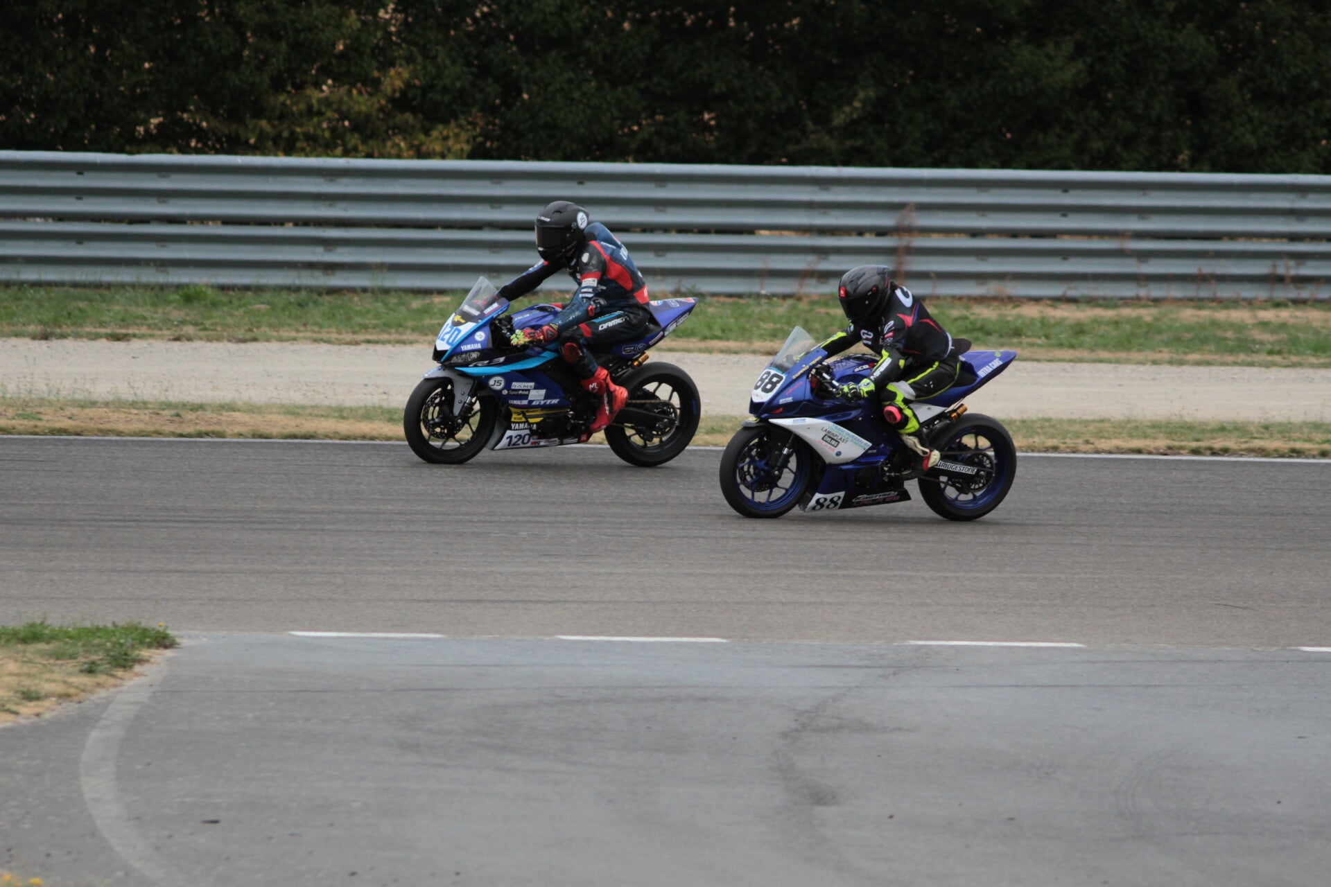 img_3594-standard.jpg