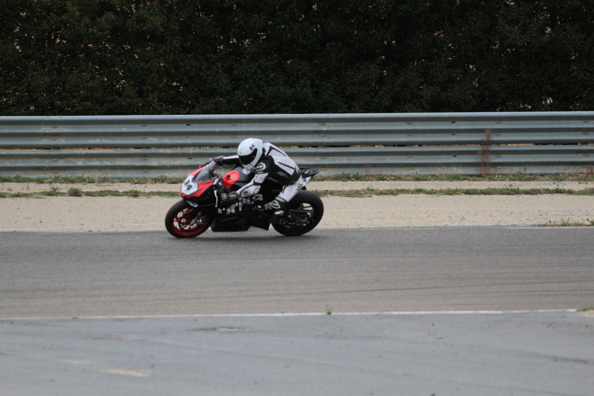 img_3623-standard.jpg