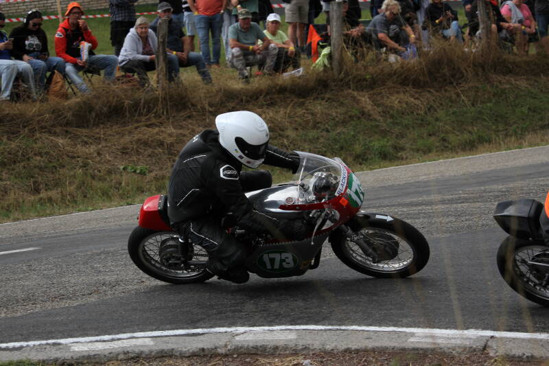 img_4556-standard-z4f02m.jpg