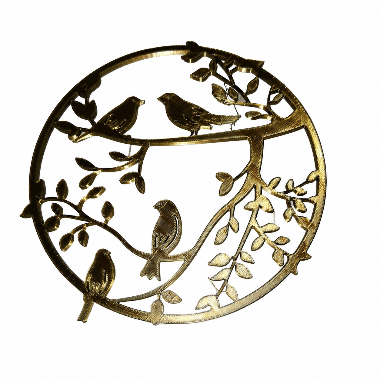 Vogel cirkel