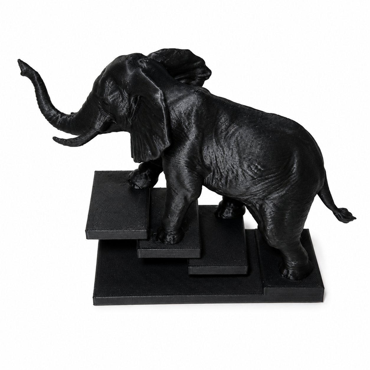 Olifant op trap