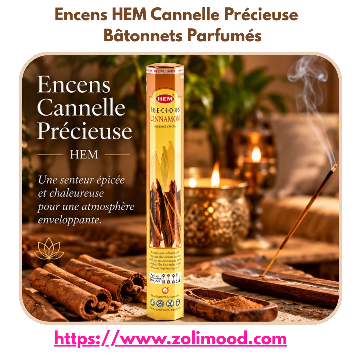 Encens HEM Cannelle Précieuse – Bâtonnets Parfumés