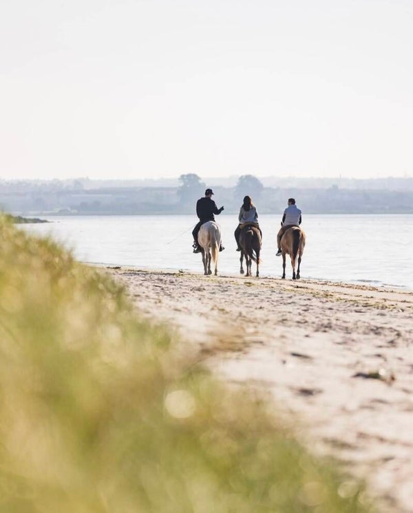 Horse Riding Tours (Private Ride 1h30)