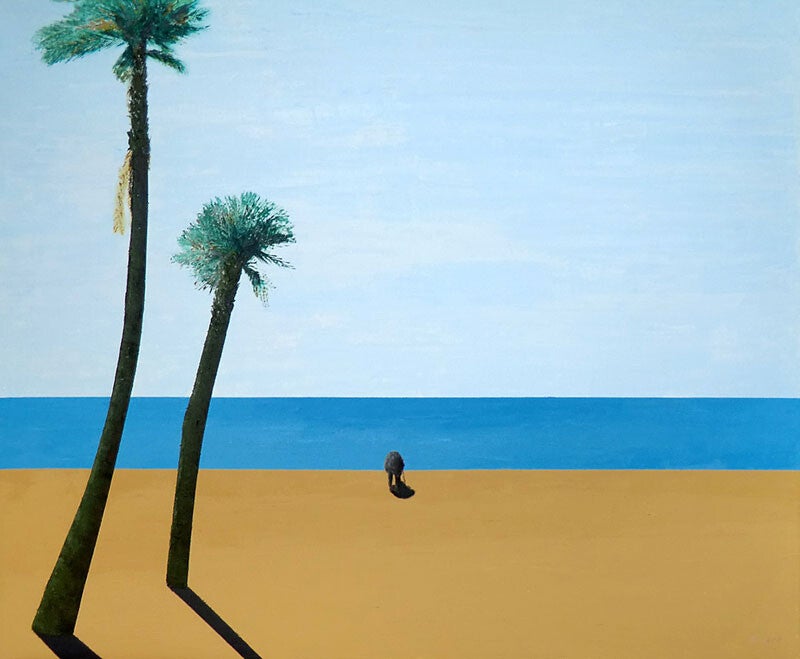 pensionado aan het strand met palmbomen