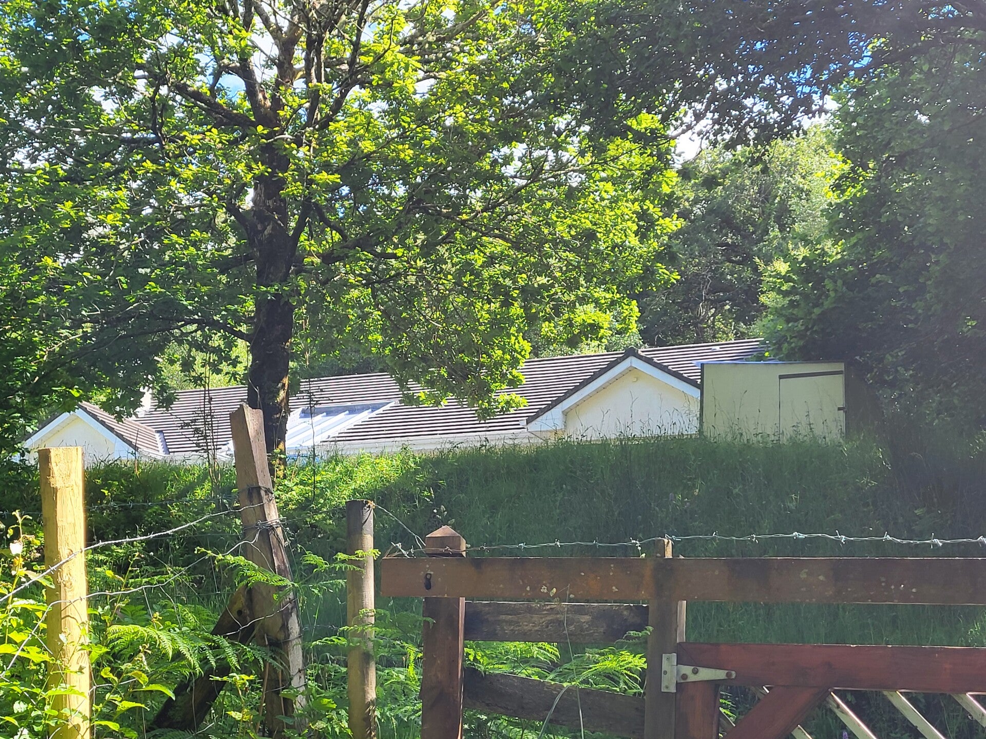 20260619_162436-standard.jpg