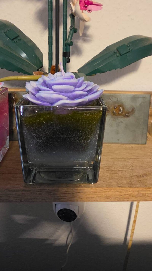 Selbst gemachte kerzen aus gel