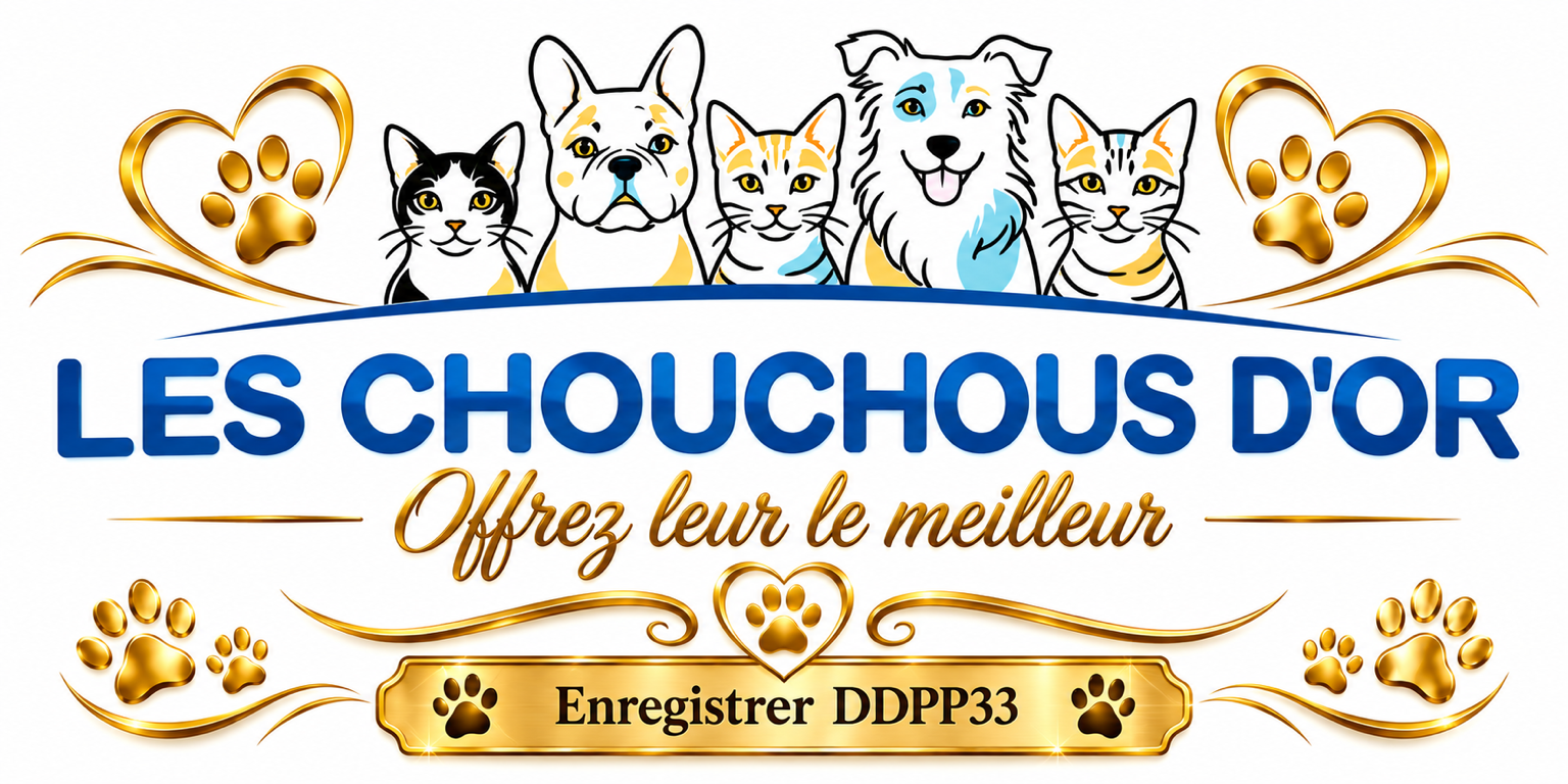 9ecf425a-f879-4ab0-8d82-0f3b08ebbb01-standard.png