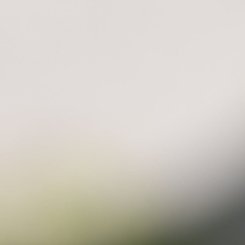 dsc_1253-standard.jpg