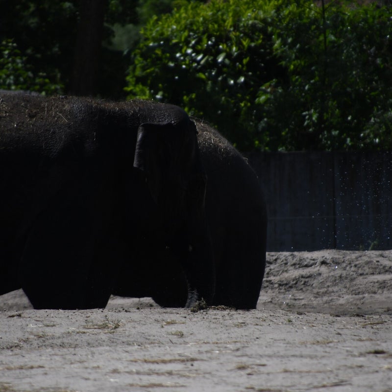 dsc_1407-standard.jpg