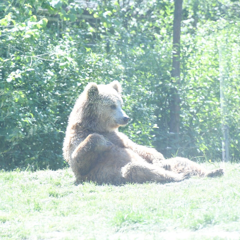 dsc_1734-standard.jpg