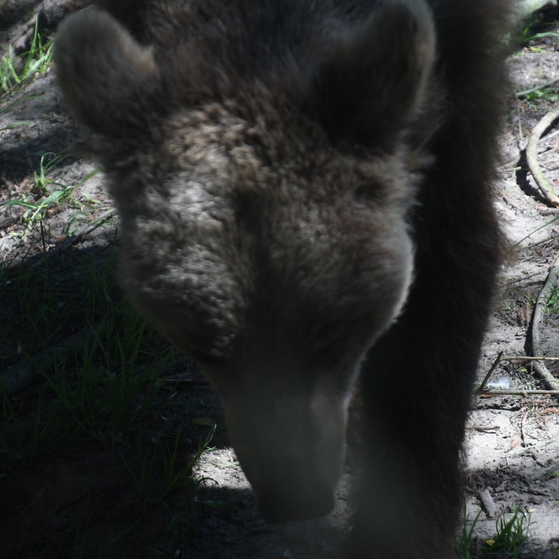 dsc_1819-standard.jpg