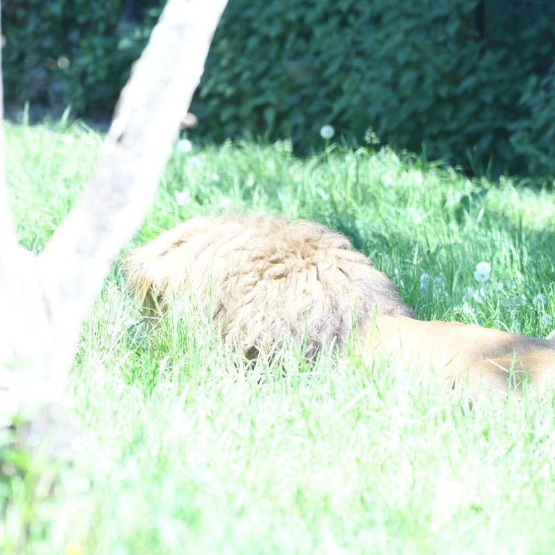 dsc_2035-standard.jpg