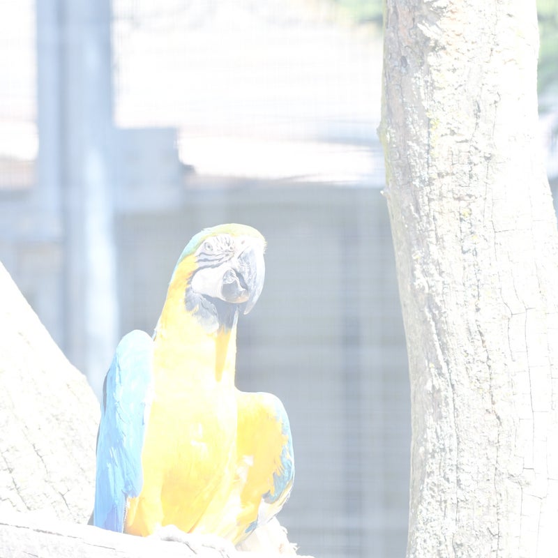 dsc_2057-standard.jpg