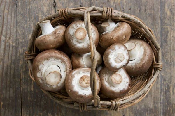 Mushrooms