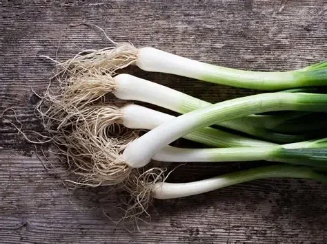 Spring onions