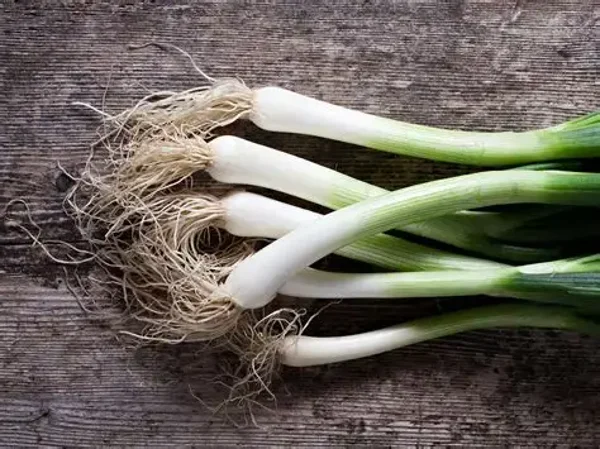 Spring onions