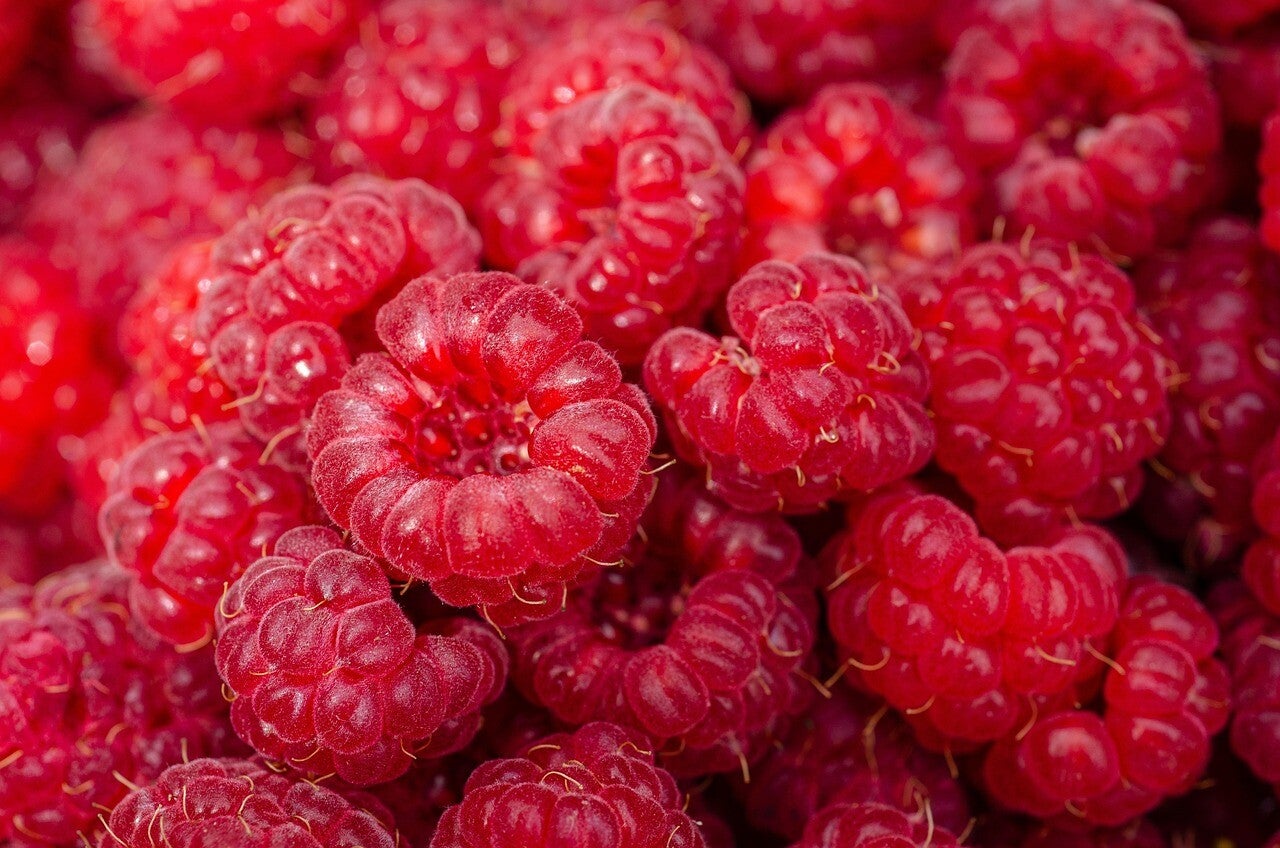 Rasberries