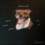 Senna-1.jpg