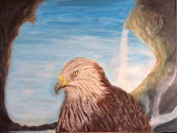 Bald Eagle 
