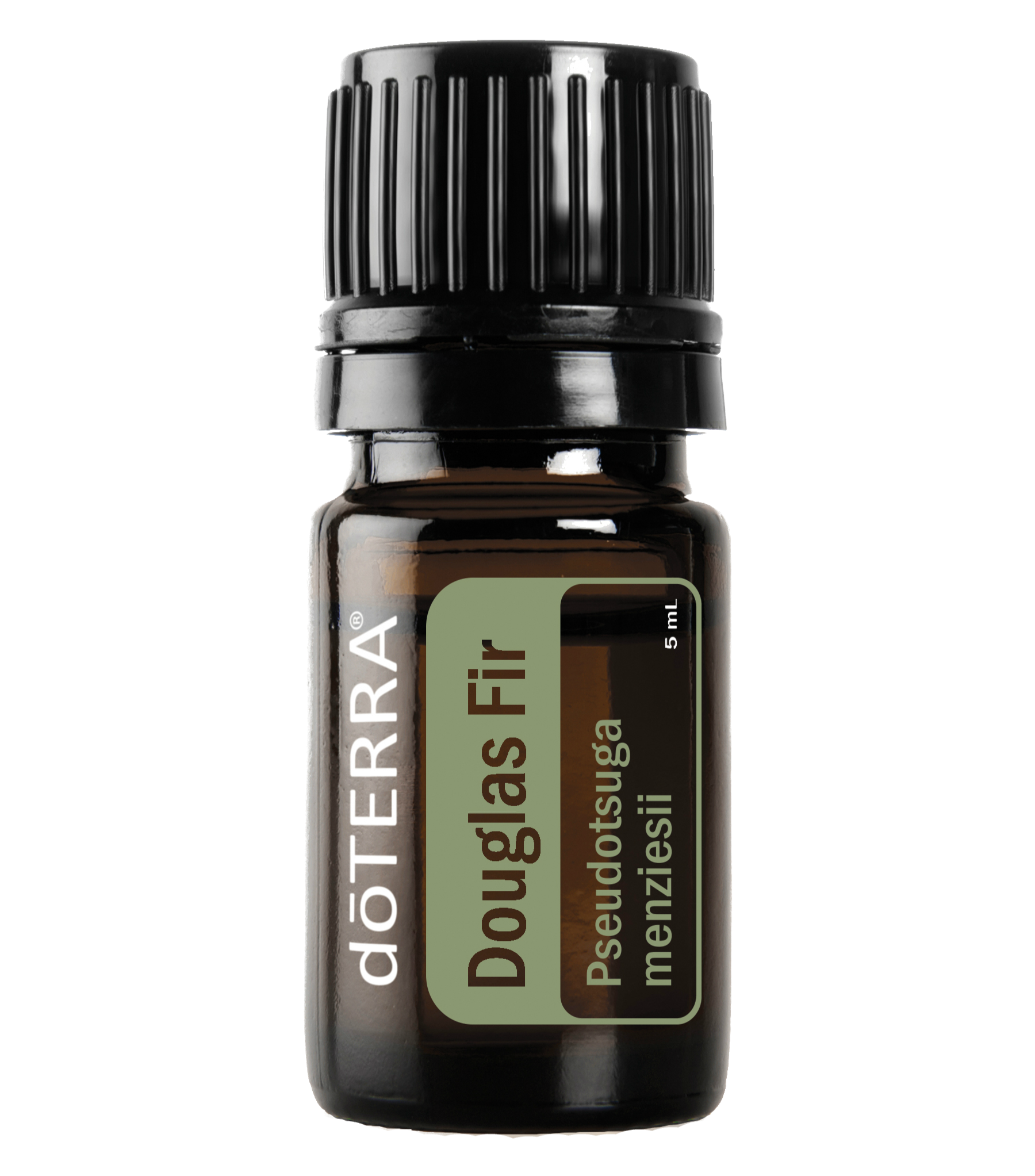 Douglas Fir  / Douglas Spar dōTERRA