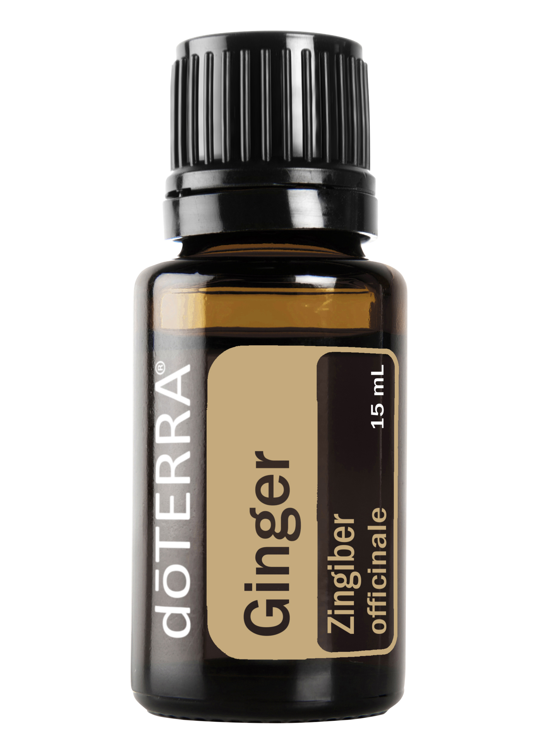 Ginger / Gember dōTERRA