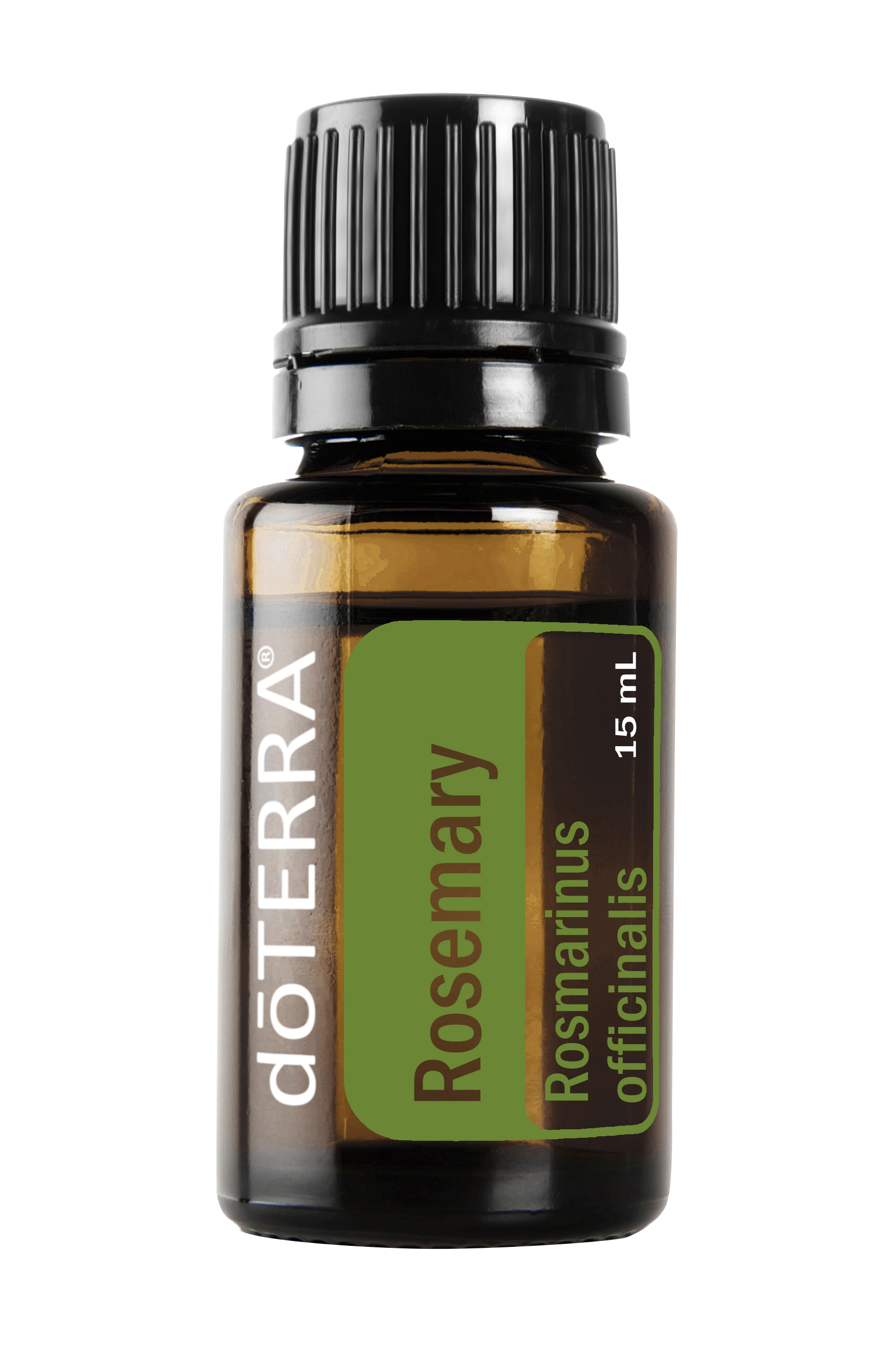 Rosemary / Rozemarijn doTERRA