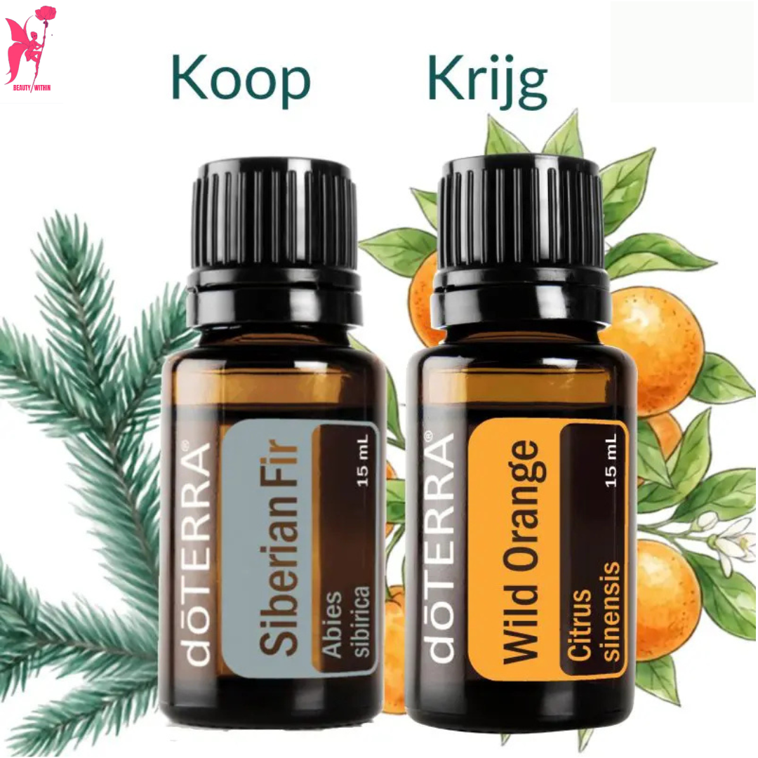 BOGO 4 siberian fir wild orange
