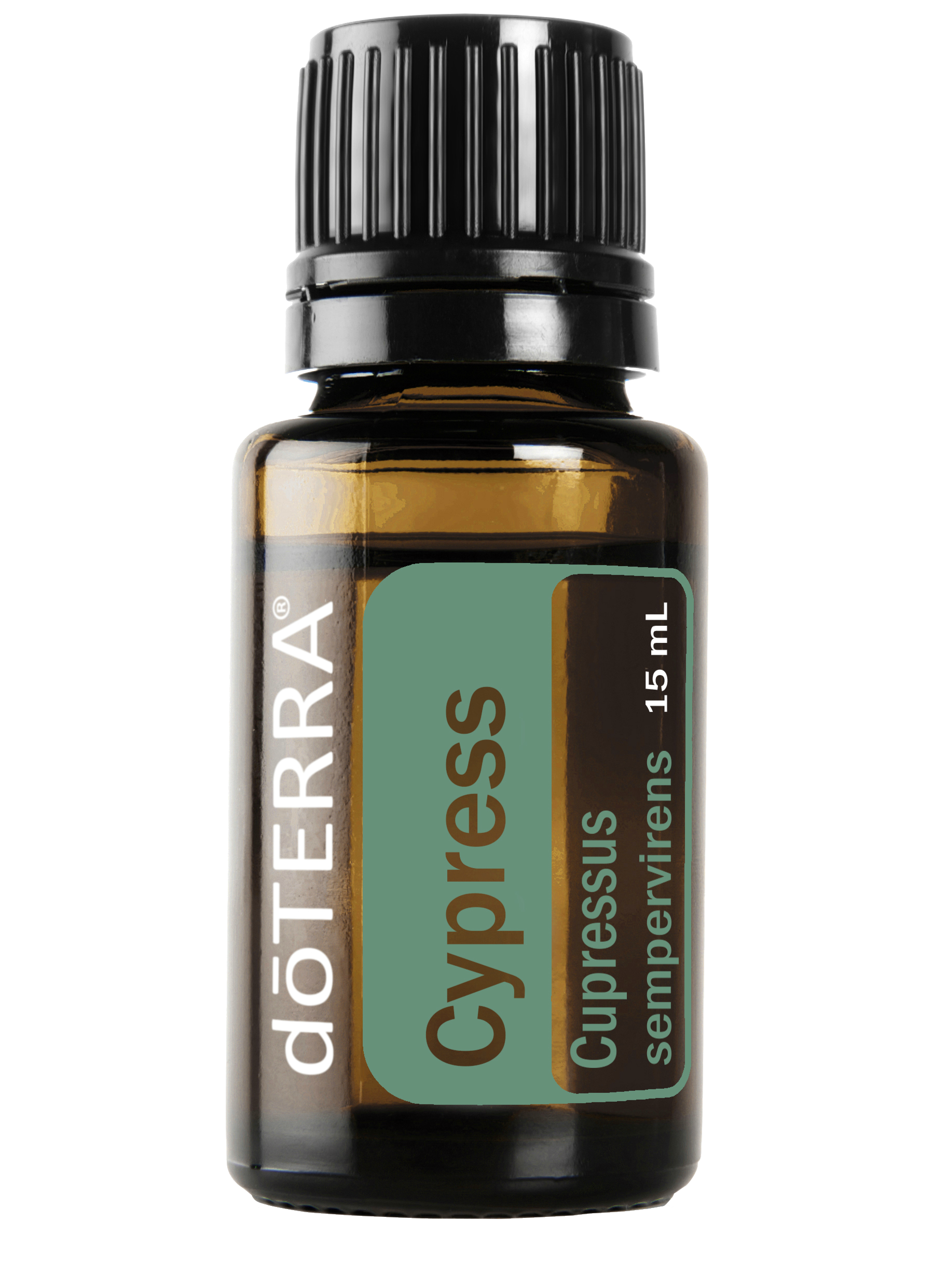 Cypress / Cipres dōTERRA
