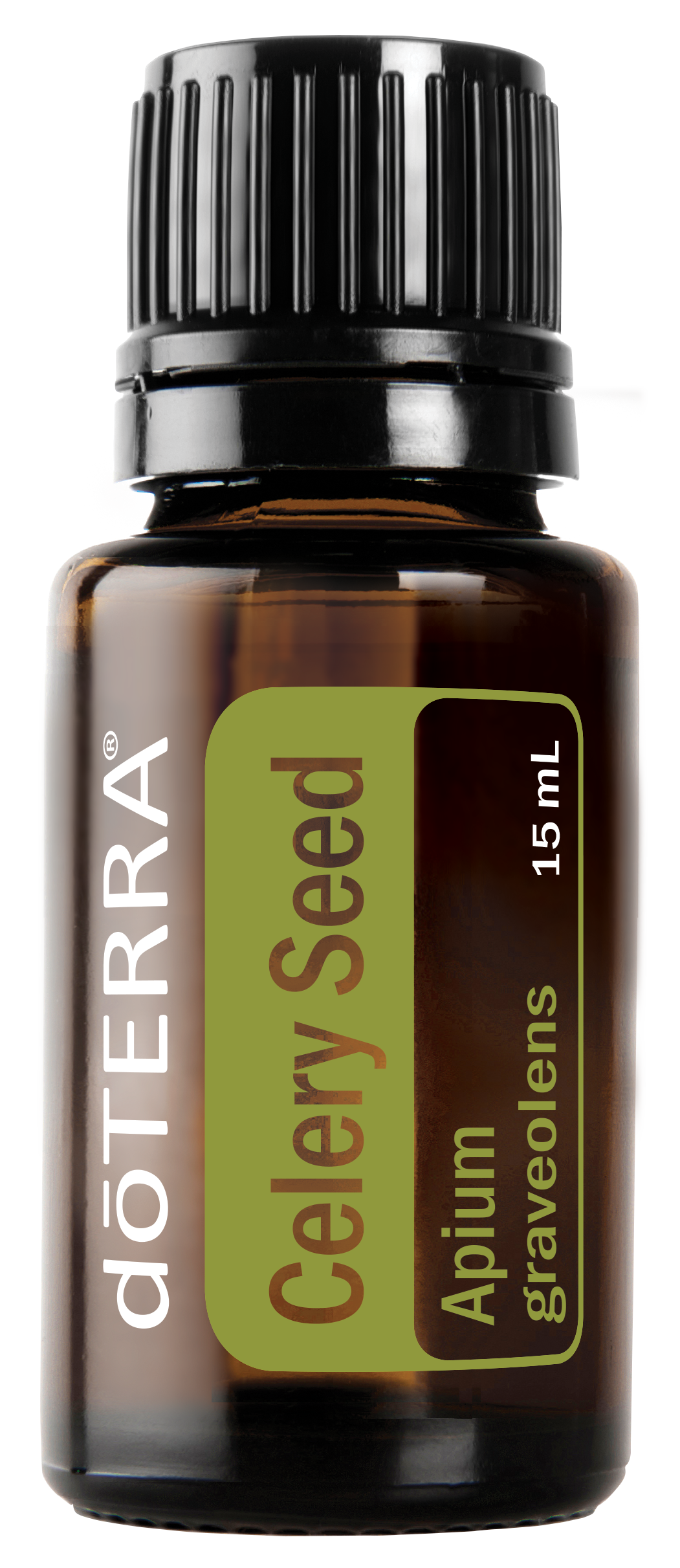 Celery Seed / Selderij Zaad