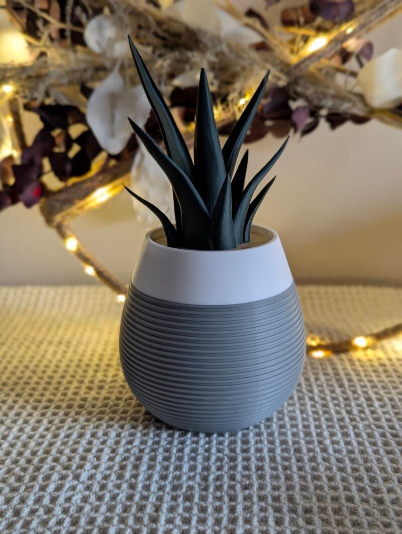 3D gedruckte kleine Vase mit Riffeln in dunkelgrau abgesetzt mit weiß und einer §D gedruckten Succulente in dunkelgrün.