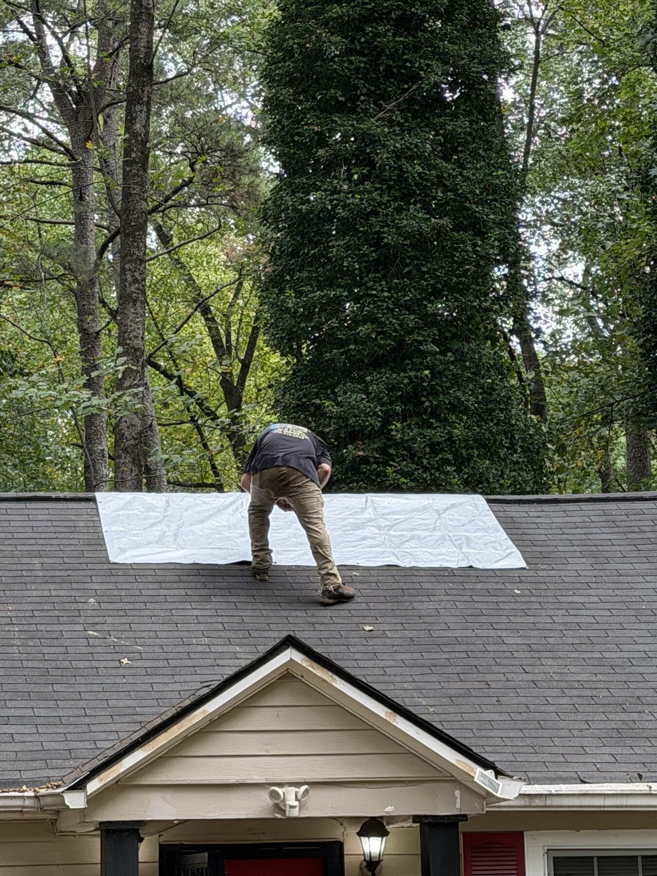 After: roof cleared following careful tree removal