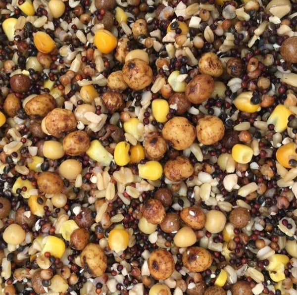 cloudy frozen fresh spod mix