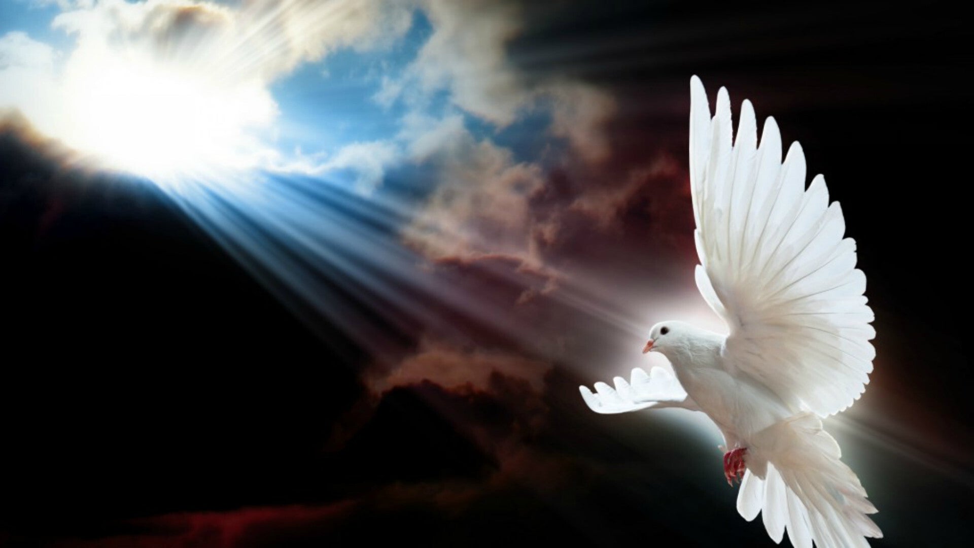 wp9749715-holy-ghost-wallpapers-standard.jpg