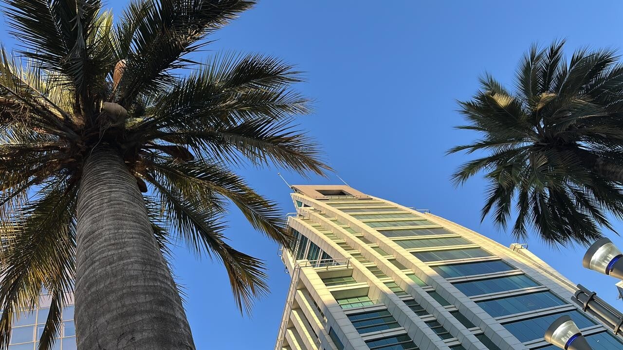 Skyscraper in Santiago de Chile with palm trees